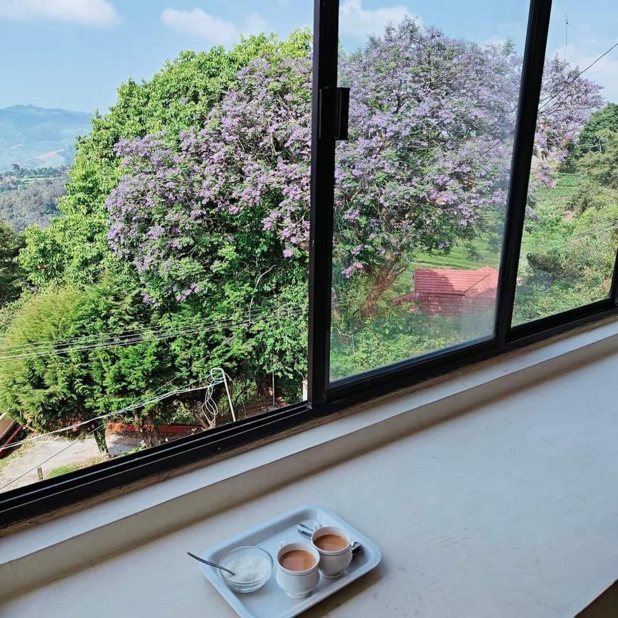 乔奥诺奥尔Camellia Heights 1&2住宿加早餐旅馆 外观 照片
